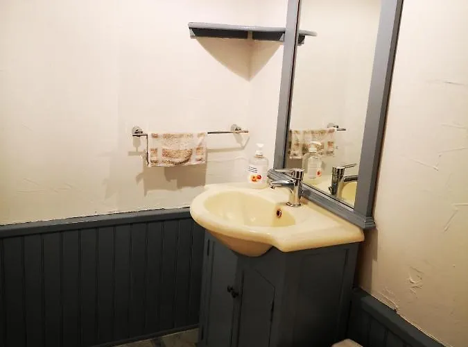 Independant Centre Aix Les Bains 公寓 *